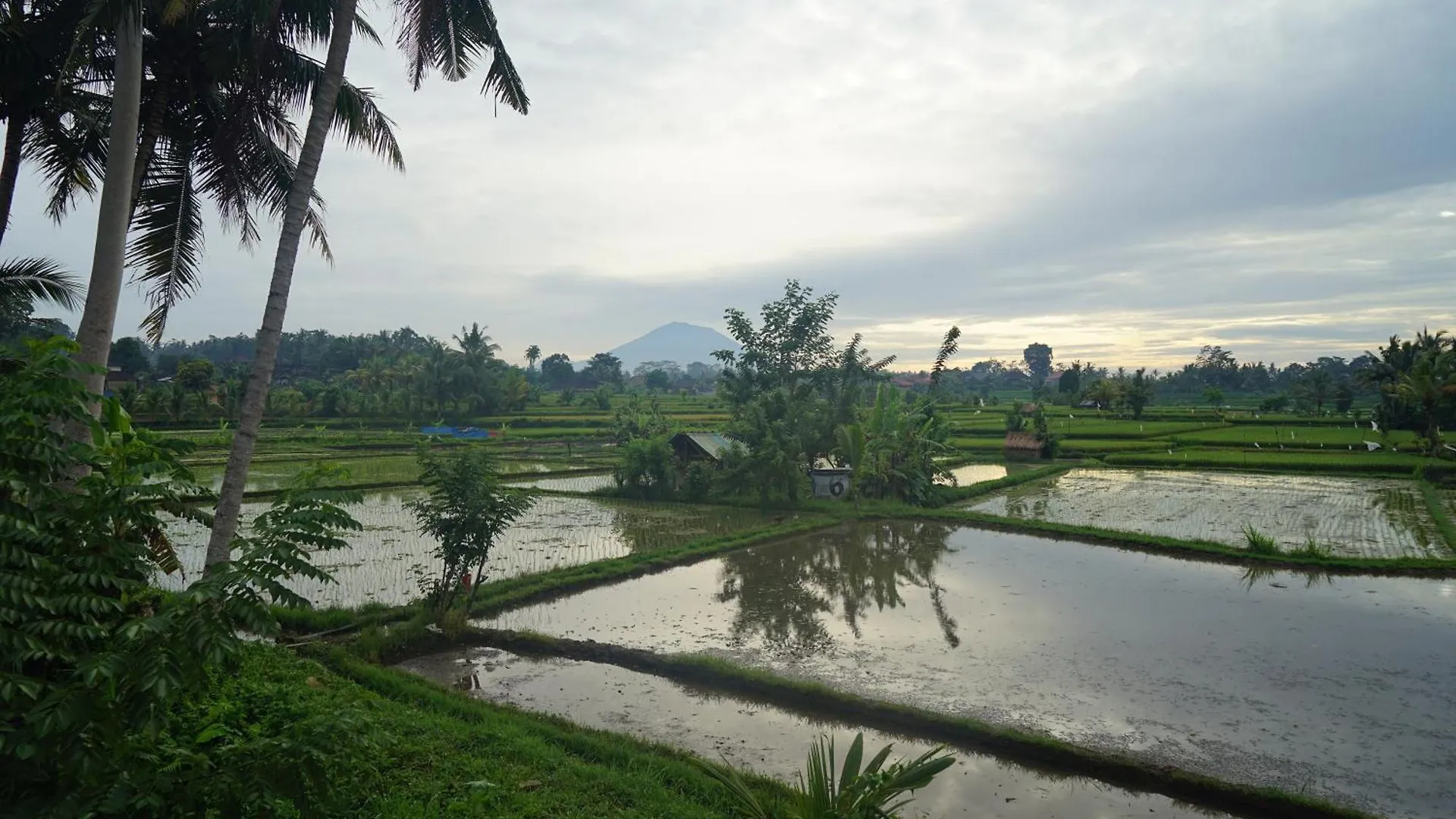 Villa Santun Luxury Private Villas-Chse Certified Ubud