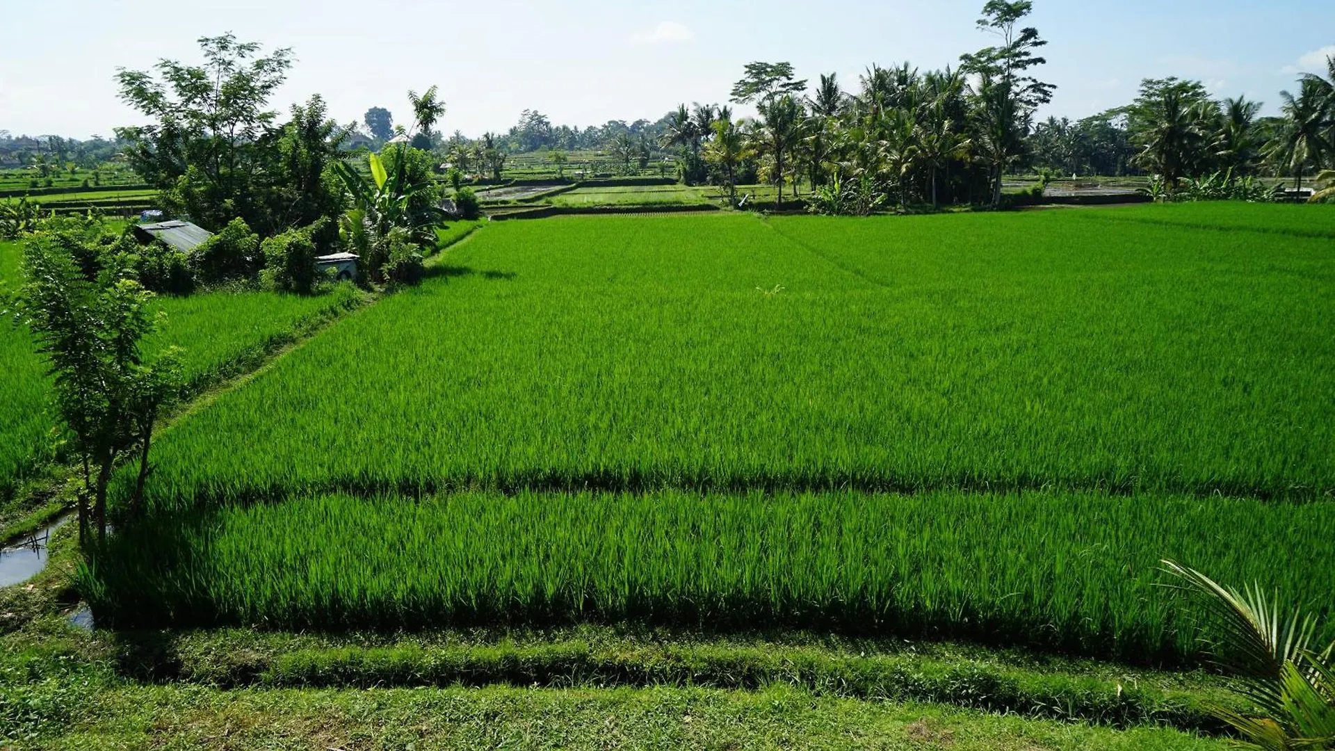 Santun Luxury Private Villas-Chse Certified Ubud