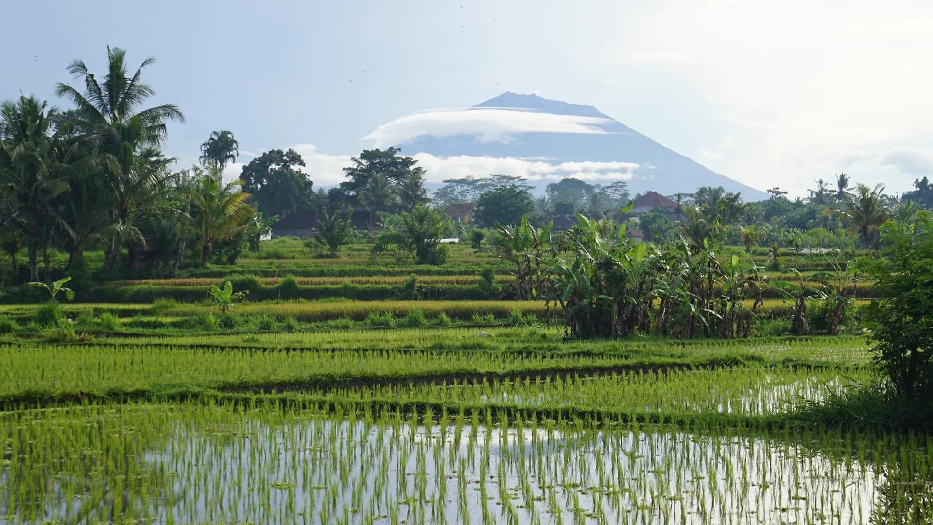 Santun Luxury Private Villas-Chse Certified Ubud Indonésia